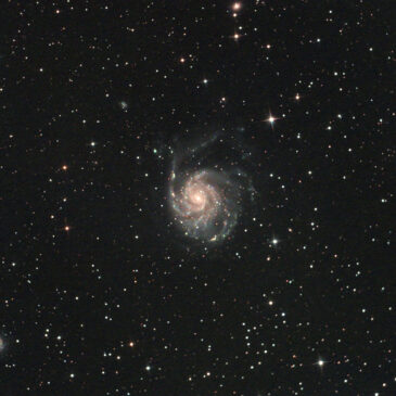 Pinwheel-Galaxie (M101)
