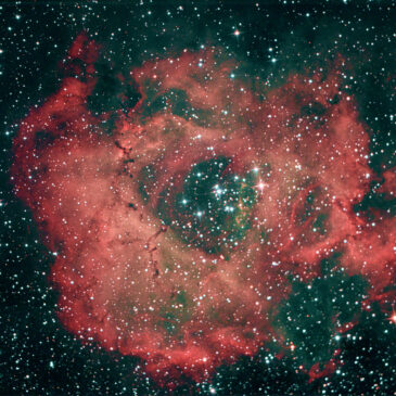 Rosettennebel (NGC 2237)